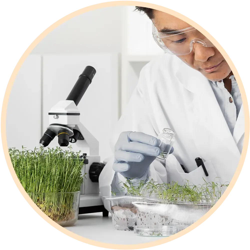 Arcadia Health Consultancy