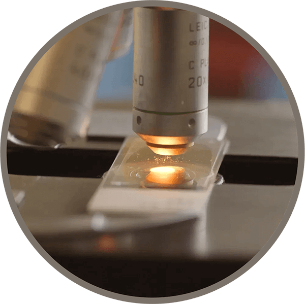 Arcadia Health Consultancy