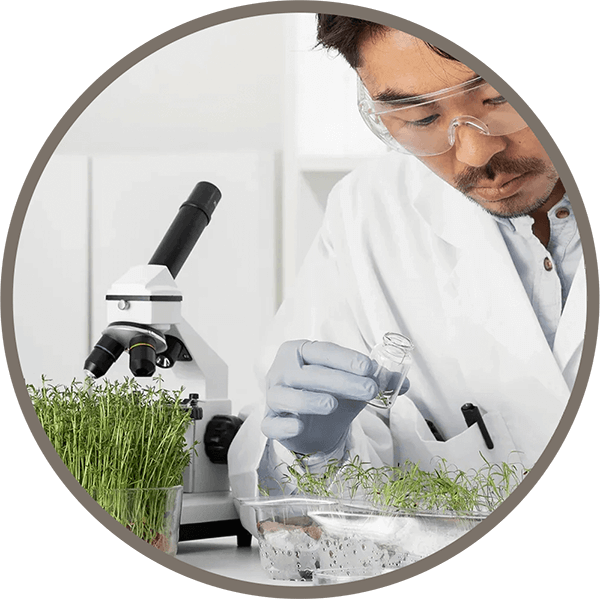 Arcadia Health Consultancy